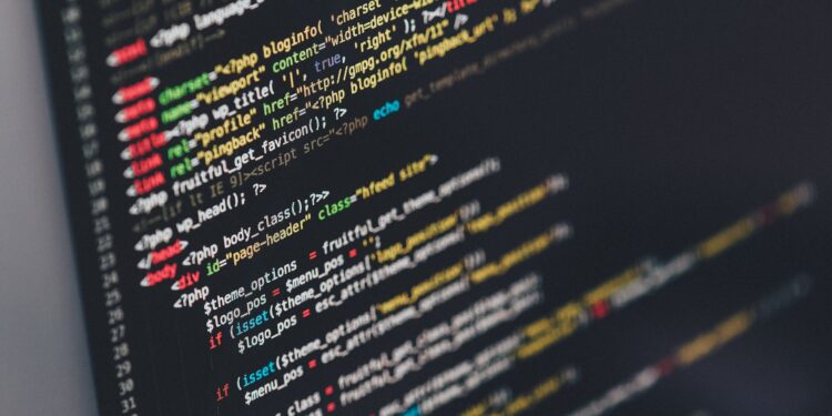 The Role of a Software Developer