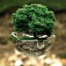 What Is Environmental Protection?