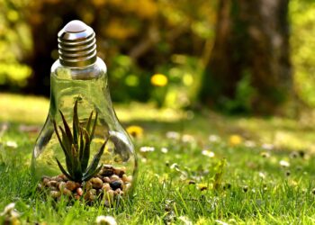 Sources of Greenhouse Gas Emissions