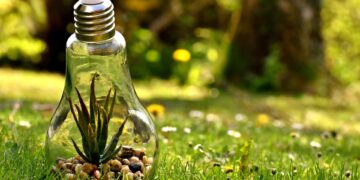 Sources of Greenhouse Gas Emissions