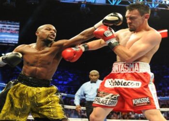 Custom boxing gloves