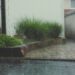 How To Prepare For A Weather Crisis
