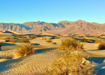 Natural Spots in Las Vegas