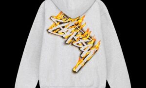 stussy hoodie